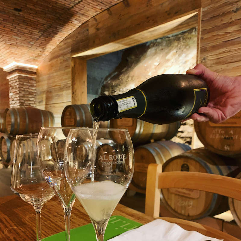 Die Zeit der Weinfreunde ist da: Weinernte 2021 und Weingebiete in Norditalien 